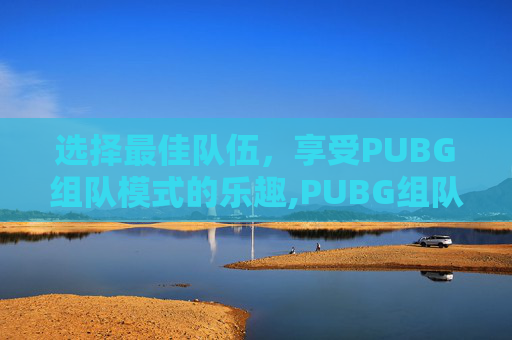 选择最佳队伍，享受PUBG组队模式的乐趣,PUBG组队技巧