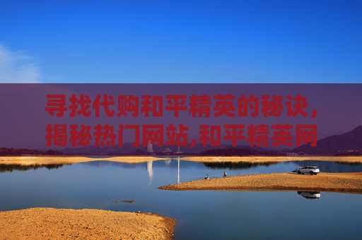 寻找代购和平精英的秘诀，揭秘热门网站,和平精英网购平台名称