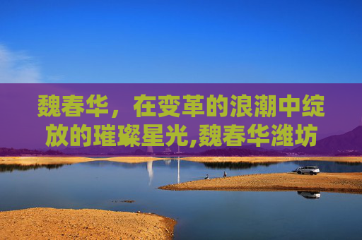 魏春华，在变革的浪潮中绽放的璀璨星光,魏春华潍坊卫恩医院
