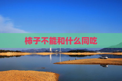 柿子不能和什么同吃