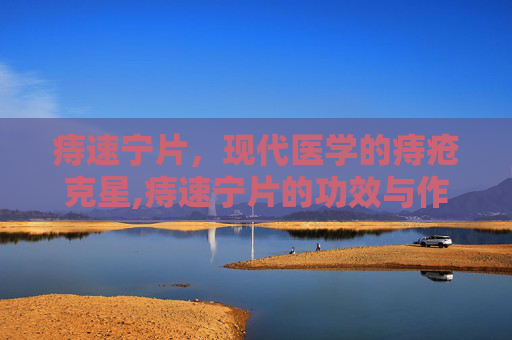 痔速宁片，现代医学的痔疮克星,痔速宁片的功效与作用