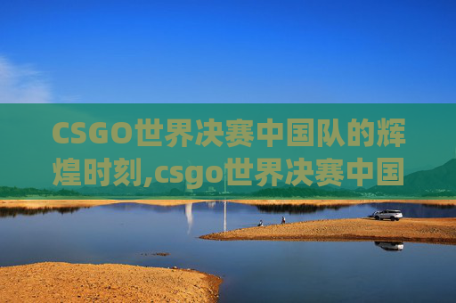 CSGO世界决赛中国队的辉煌时刻,csgo世界决赛中国队参加了吗