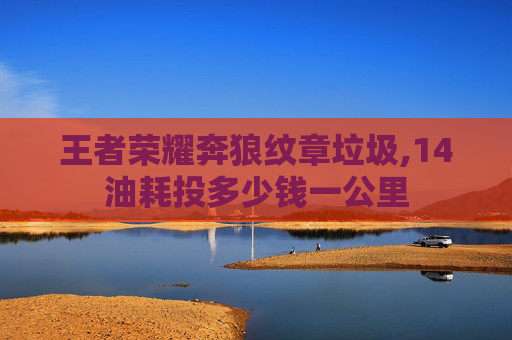 王者荣耀奔狼纹章垃圾,14油耗投多少钱一公里