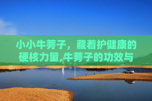 小小牛蒡子，藏着护健康的硬核力量,牛蒡子的功效与作用