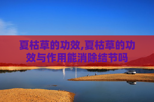 夏枯草的功效,夏枯草的功效与作用能消除结节吗