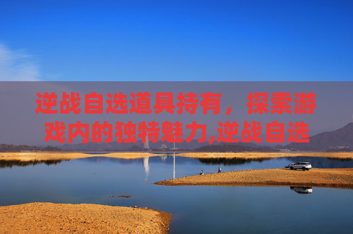 逆战自选道具持有，探索游戏内的独特魅力,逆战自选道具重置技巧