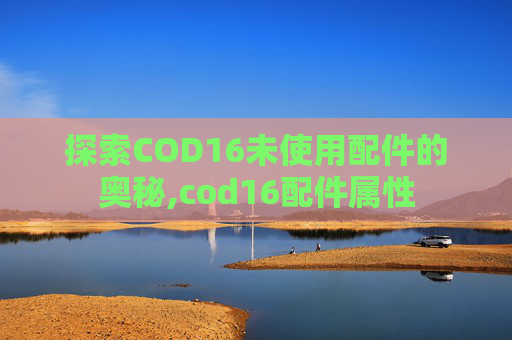 探索COD16未使用配件的奥秘,cod16配件属性