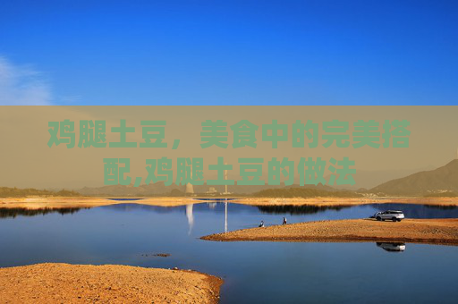 鸡腿土豆，美食中的完美搭配,鸡腿土豆的做法