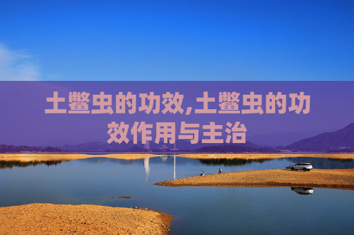 土鳖虫的功效,土鳖虫的功效作用与主治