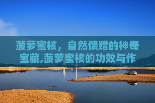 菠萝蜜核，自然馈赠的神奇宝藏,菠萝蜜核的功效与作用营养价值