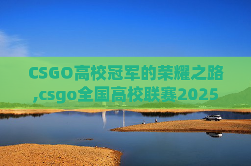 CSGO高校冠军的荣耀之路,csgo全国高校联赛2025