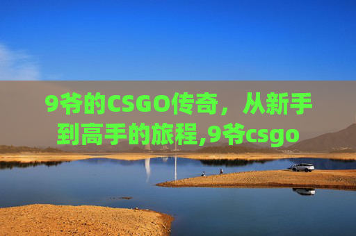9爷的CSGO传奇，从新手到高手的旅程,9爷csgo