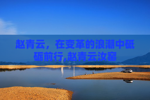 赵青云，在变革的浪潮中砥砺前行,赵青云汝窑
