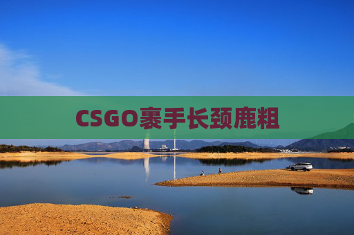 CSGO裹手长颈鹿粗