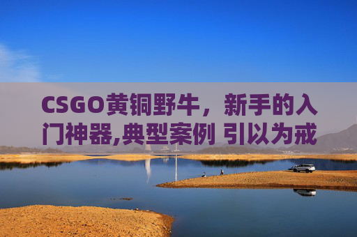 CSGO黄铜野牛，新手的入门神器,典型案例 引以为戒
