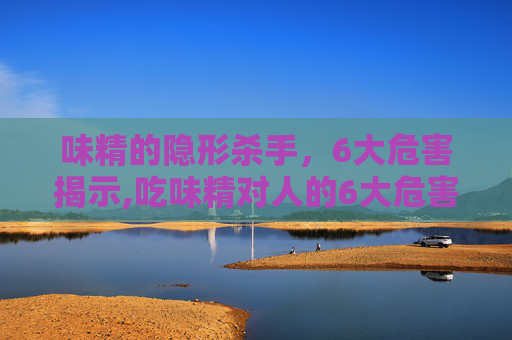味精的隐形杀手，6大危害揭示,吃味精对人的6大危害是什么