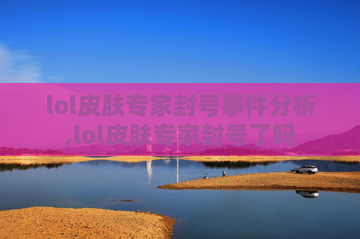 lol皮肤专家封号事件分析,lol皮肤专家封号了吗