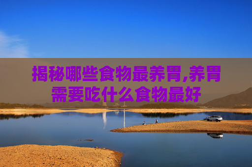 揭秘哪些食物最养胃,养胃需要吃什么食物最好