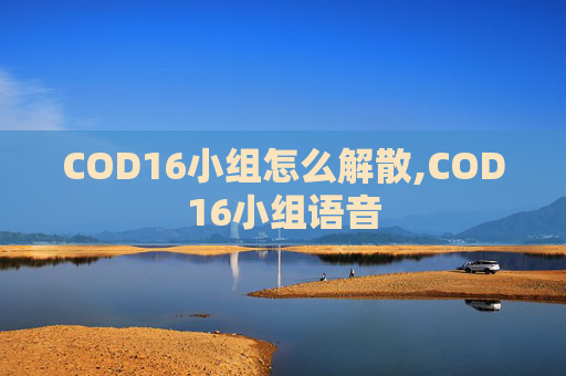 COD16小组怎么解散,COD16小组语音