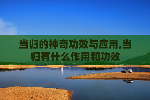 当归的神奇功效与应用,当归有什么作用和功效