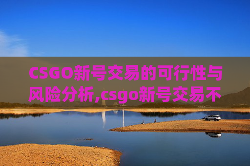 CSGO新号交易的可行性与风险分析,csgo新号交易不了吗为什么
