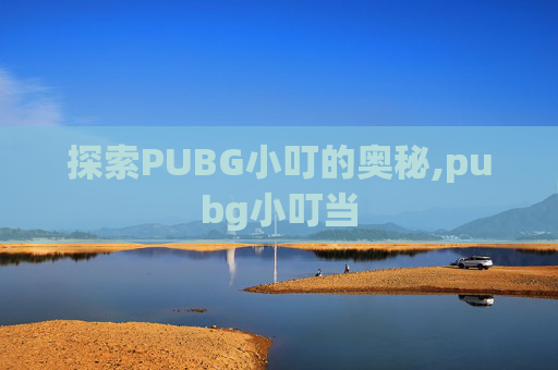 探索PUBG小叮的奥秘,pubg小叮当