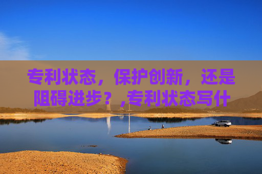 专利状态，保护创新，还是阻碍进步？,专利状态写什么
