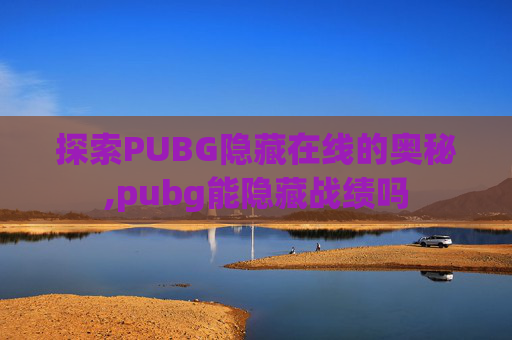 探索PUBG隐藏在线的奥秘,pubg能隐藏战绩吗