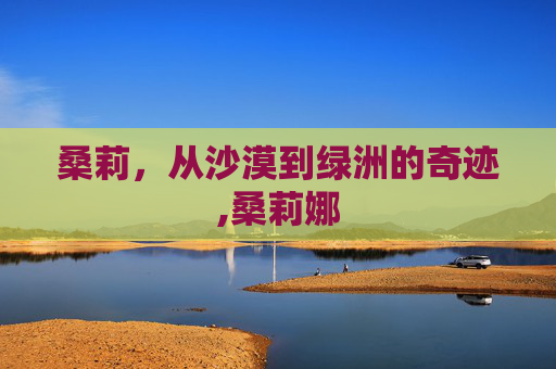 桑莉,从沙漠到绿洲的奇迹,桑莉娜 桑莉,从沙漠到绿洲的奇迹,桑莉娜