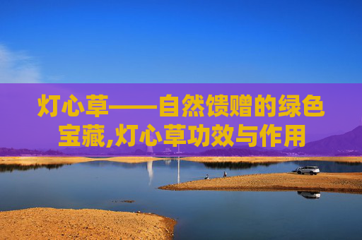 灯心草——自然馈赠的绿色宝藏,灯心草功效与作用