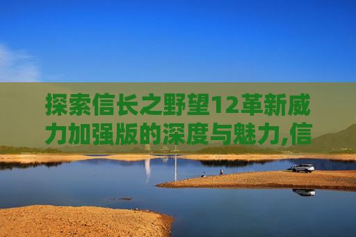 探索信长之野望12革新威力加强版的深度与魅力,信长之野望12革新威力加强版下载