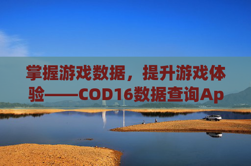 掌握游戏数据，提升游戏体验——COD16数据查询App,使命召唤16数据查询