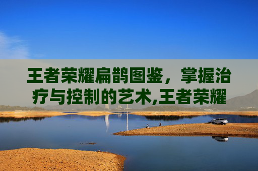王者荣耀扁鹊图鉴，掌握治疗与控制的艺术,王者荣耀扁庄图片大全