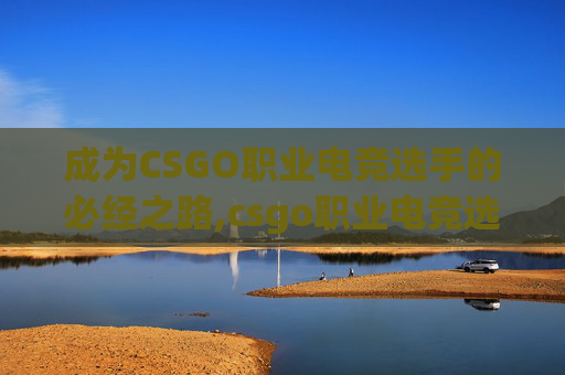 成为CSGO职业电竞选手的必经之路,csgo职业电竞选手教程视频