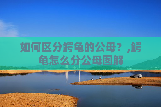 如何区分鳄龟的公母？,鳄龟怎么分公母图解