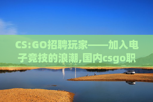CS:GO招聘玩家——加入电子竞技的浪潮,国内csgo职业选手挣钱吗