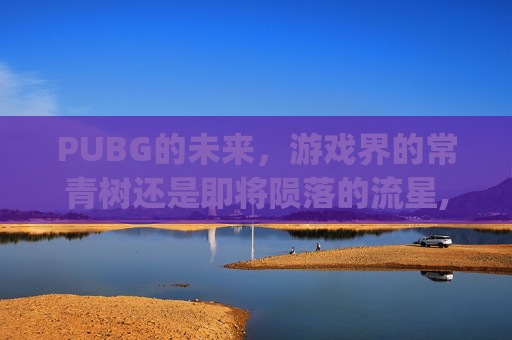 PUBG的未来，游戏界的常青树还是即将陨落的流星,pubg会误封吗