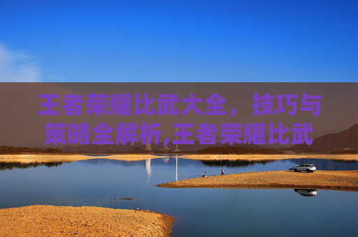 王者荣耀比武大全，技巧与策略全解析,王者荣耀比武大全视频
