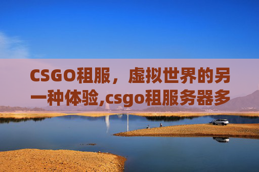 CSGO租服，虚拟世界的另一种体验,csgo租服务器多少钱