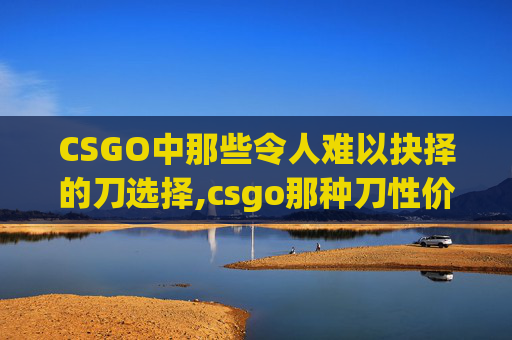 CSGO中那些令人难以抉择的刀选择,csgo那种刀性价比高