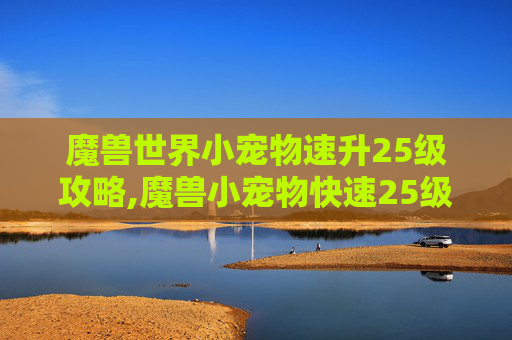 魔兽世界小宠物速升25级攻略,魔兽小宠物快速25级