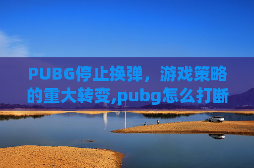 PUBG停止换弹，游戏策略的重大转变,pubg怎么打断换弹