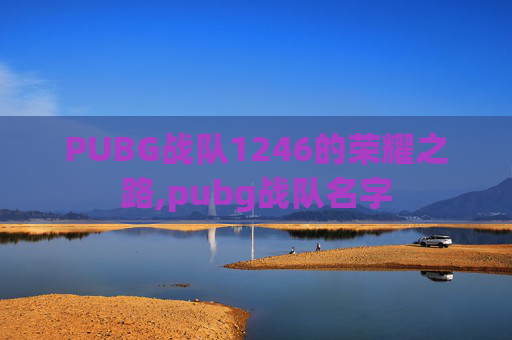 PUBG战队1246的荣耀之路,pubg战队名字