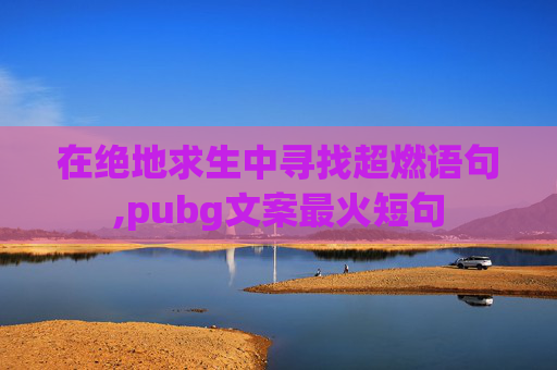 在绝地求生中寻找超燃语句,pubg文案最火短句