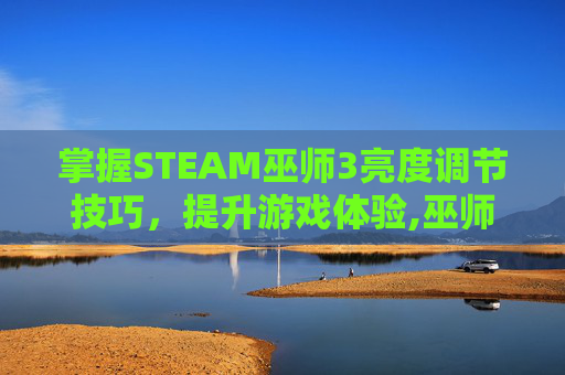 掌握STEAM巫师3亮度调节技巧，提升游戏体验,巫师3亮度调到最高还是暗