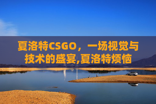 夏洛特CSGO，一场视觉与技术的盛宴,夏洛特烦恼