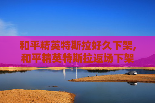 和平精英特斯拉好久下架,和平精英特斯拉返场下架