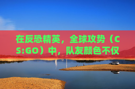 在反恐精英，全球攻势（CS:GO）中，队友颜色不仅仅是一个视觉上的标识，它更是团队协作和沟通的重要工具。,csgo队伍颜色