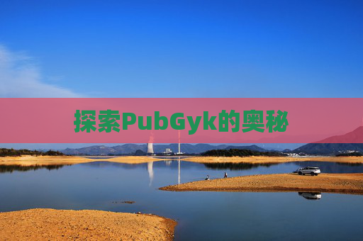 探索PubGyk的奥秘