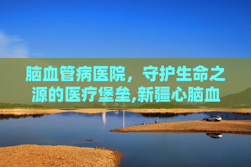 脑血管病医院，守护生命之源的医疗堡垒,新疆心脑血管病医院